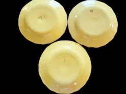 Série 10 grandes assiettes plates vintage Martres-Tolosane Décor Rose bleue
