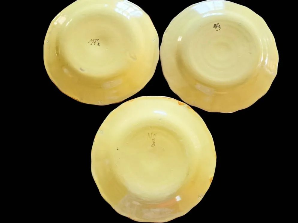 Série 10 grandes assiettes plates vintage Martres-Tolosane Décor Rose bleue