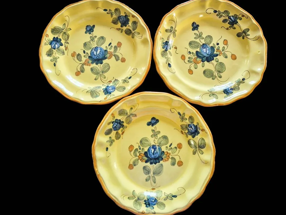 Série 10 grandes assiettes plates vintage Martres-Tolosane Décor Rose bleue