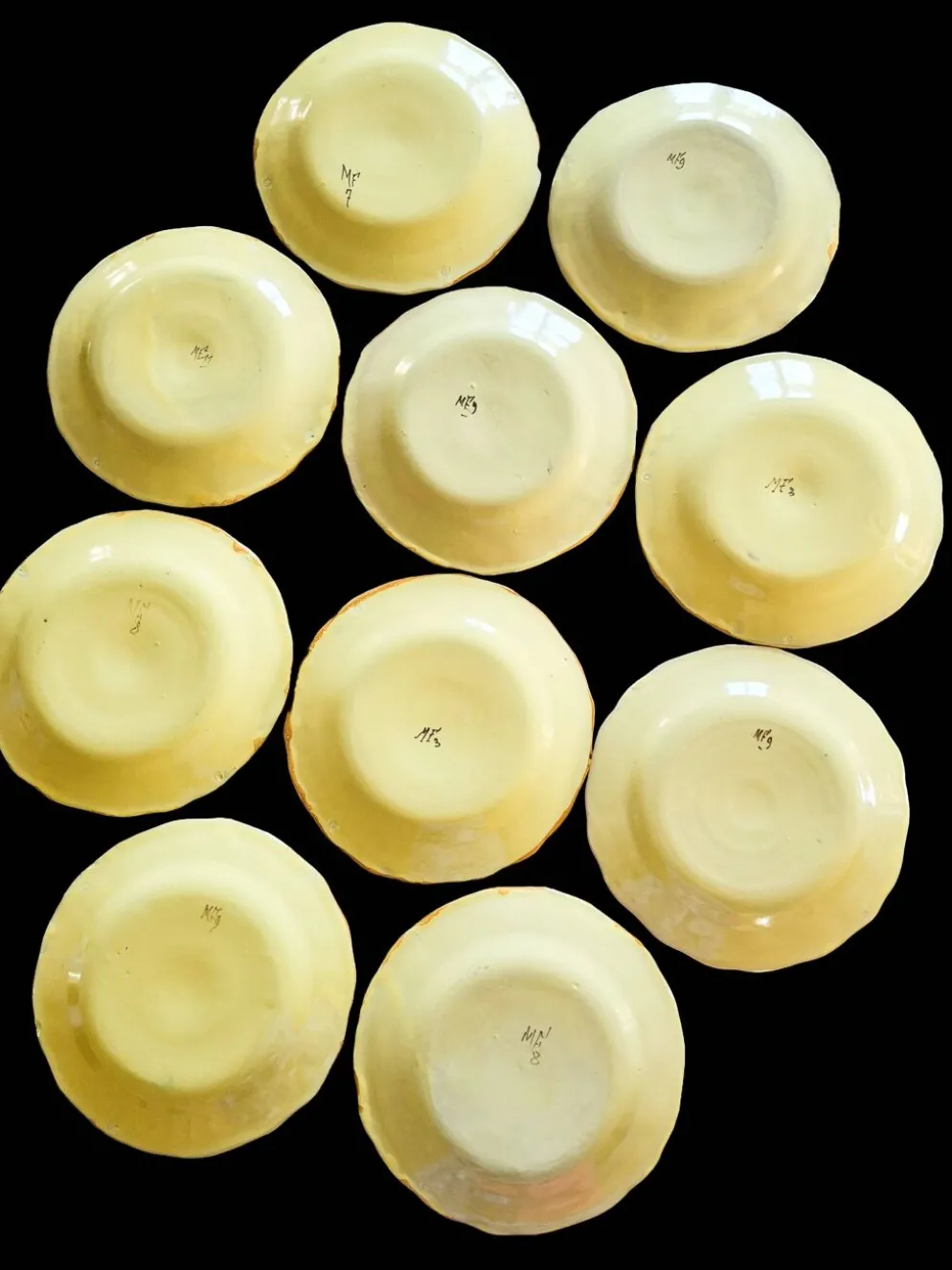 Série 10 grandes assiettes plates vintage Martres-Tolosane Décor Rose bleue