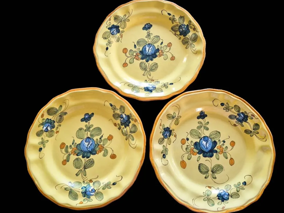 Série 10 grandes assiettes plates vintage Martres-Tolosane Décor Rose bleue