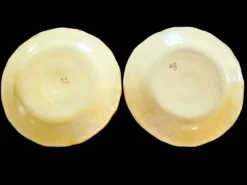 Série 10 grandes assiettes plates vintage Martres-Tolosane Décor Rose bleue