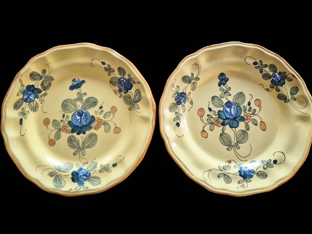 Série 10 grandes assiettes plates vintage Martres-Tolosane Décor Rose bleue
