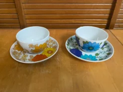 Série 5 tasses Pillivuyt en porcelaine décor Locarno + Interlaken France
