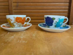 Série 5 tasses Pillivuyt en porcelaine décor Locarno + Interlaken France