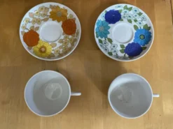 Série 5 tasses Pillivuyt en porcelaine décor Locarno + Interlaken France