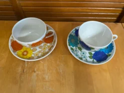 Série 5 tasses Pillivuyt en porcelaine décor Locarno + Interlaken France