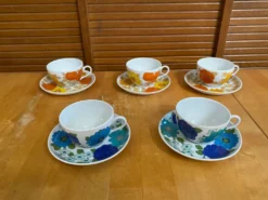 Série 5 tasses Pillivuyt en porcelaine décor Locarno + Interlaken France