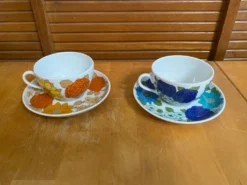 Série 5 tasses Pillivuyt en porcelaine décor Locarno + Interlaken France