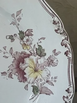 Suite de cinq anciennes assiettes plates Bisto England Modèle Anson Sp