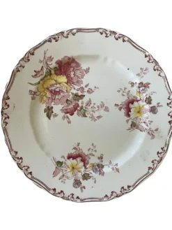 Suite de cinq anciennes assiettes plates Bisto England Modèle Anson Sp