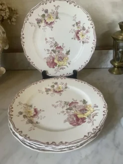 Suite de cinq anciennes assiettes plates Bisto England Modèle Anson Sp