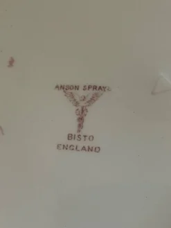 Suite de cinq anciennes assiettes plates Bisto England Modèle Anson Sp