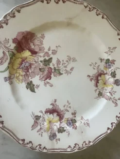Suite de cinq anciennes assiettes plates Bisto England Modèle Anson Sp