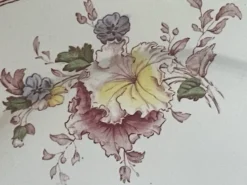 Suite de cinq anciennes assiettes plates Bisto England Modèle Anson Sp