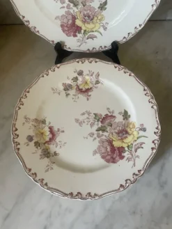 Suite de cinq anciennes assiettes plates Bisto England Modèle Anson Sp