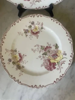 Suite de cinq anciennes assiettes plates Bisto England Modèle Anson Sp