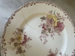 Suite de cinq anciennes assiettes plates Bisto England Modèle Anson Sp