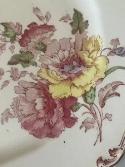 Suite de cinq anciennes assiettes plates Bisto England Modèle Anson Sp