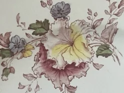 Suite de cinq anciennes assiettes plates Bisto England Modèle Anson Sp