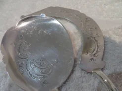 Superbe couvert à servir la glace 2p orfèvre Boulenger LXV écailles