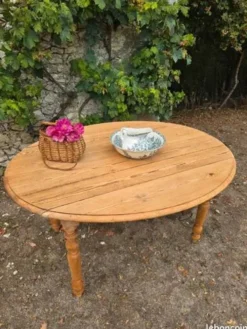 Table à abattants pliable en bois massif brut
