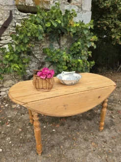 Table à abattants pliable en bois massif brut