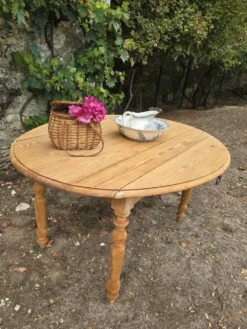 Table à abattants pliable en bois massif brut