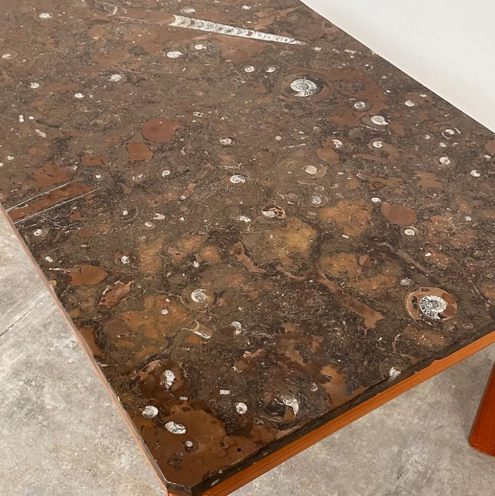 Table basse en marbre fossilisé moderniste des années 1970 avec base en bois