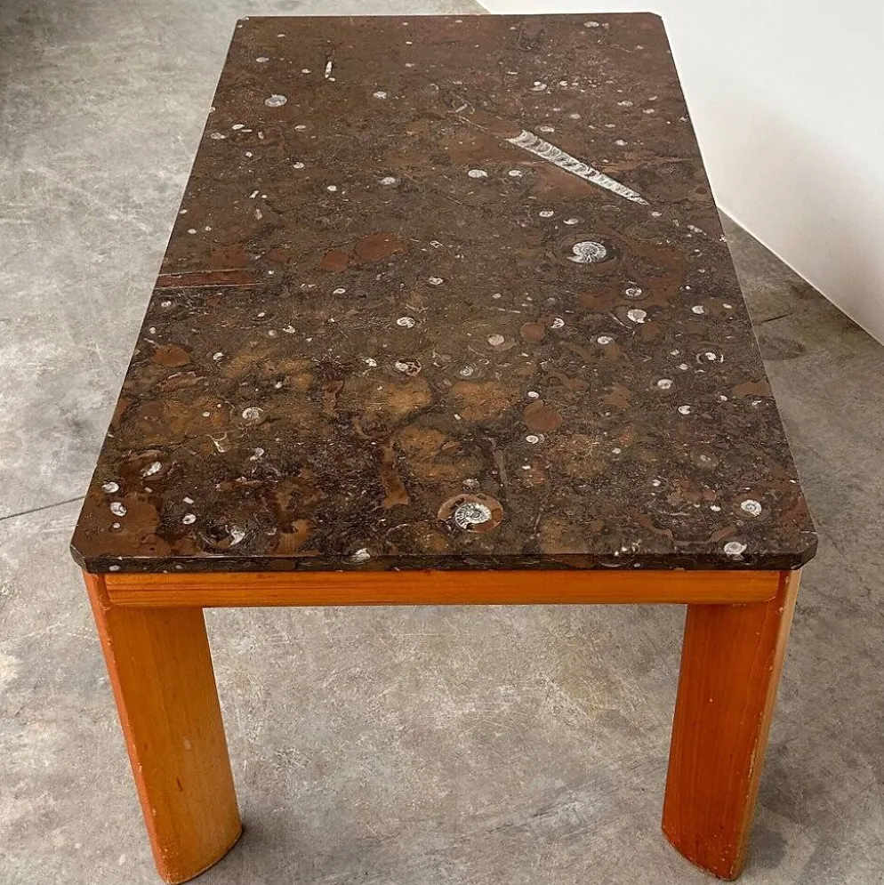 Table basse en marbre fossilisé moderniste des années 1970 avec base en bois