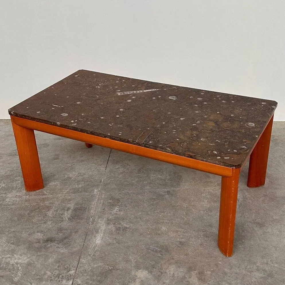 Table basse en marbre fossilisé moderniste des années 1970 avec base en bois