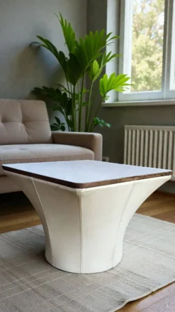 Table basse mushroom bernard brunier / 1960's