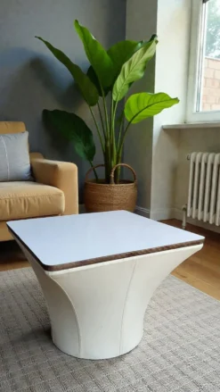 Table basse mushroom bernard brunier / 1960's