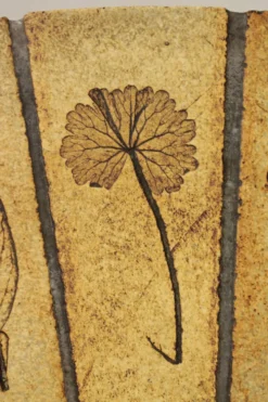 Table basse ronde herbier Roger Capron, Vallauris - céramique et structure en bois