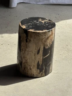 Table d'appoint en bois pétrifié noire côté beige H35 D24 - 3352