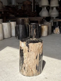 Table d'appoint en bois pétrifié noire côté beige H35 D24 - 3352