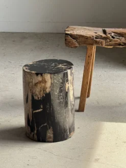 Table d'appoint en bois pétrifié noire côté beige H35 D24 - 3352