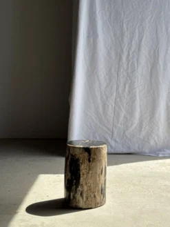 Table d'appoint en bois pétrifié noire côté beige H35 D24 - 3352