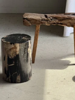 Table d'appoint en bois pétrifié noire côté beige H35 D24 - 3352