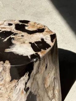 Table d'appoint en bois pétrifié dominante blanche et beige tache noires