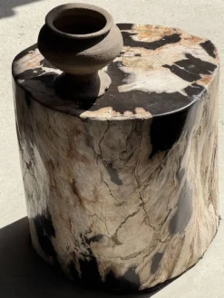 Table d'appoint en bois pétrifié dominante blanche et beige tache noires