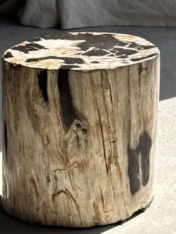 Table d'appoint en bois pétrifié dominante blanche et beige tache noires