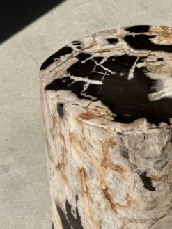 Table d'appoint en bois pétrifié dominante blanche et beige tache noires