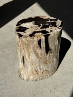 Table d'appoint en bois pétrifié dominante blanche et beige tache noires
