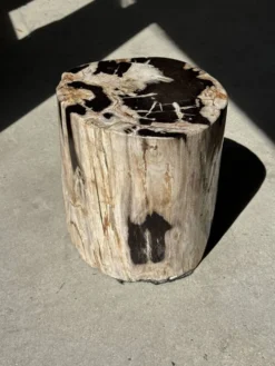 Table d'appoint en bois pétrifié dominante blanche et beige tache noires