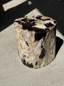 Table d'appoint en bois pétrifié dominante blanche et beige tache noires