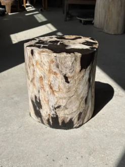 Table d'appoint en bois pétrifié dominante blanche et beige tache noires