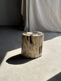 Table d'appoint en bois pétrifié dominante blanche et beige tache noires