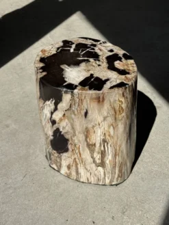 Table d'appoint en bois pétrifié dominante blanche et beige tache noires