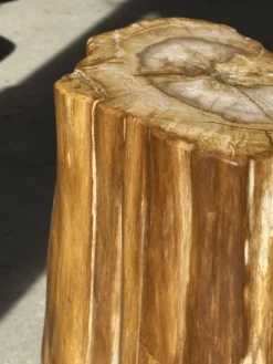 Table d'appoint en bois pétrifié orange doré et blanche ovale H46 D38 - 333
